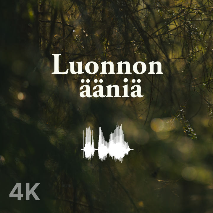 Keskity paremmin kuuntelemalla tätä